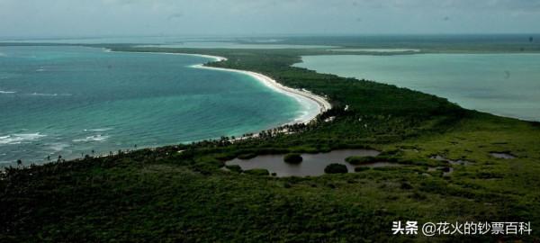 「新鈔」墨西哥獨立200週年紀念鈔，又是一張塑膠鈔，顏值還不錯