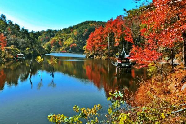 11月，看湖北，層林盡染！