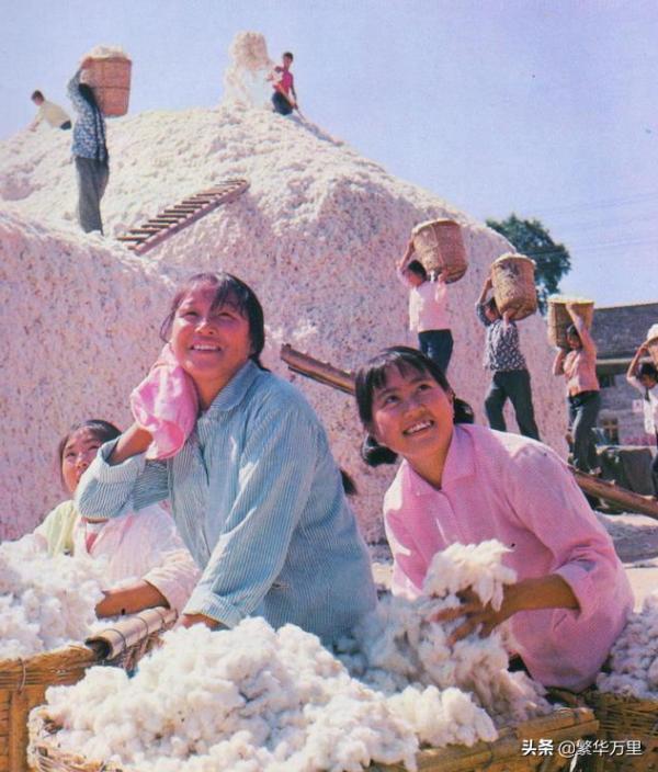 安徽省的區劃調整,16個地級市之一,宿州市為何有5個區縣? 安徽省的區劃調整,16個地級市之一,宿州市為何有5個區縣?