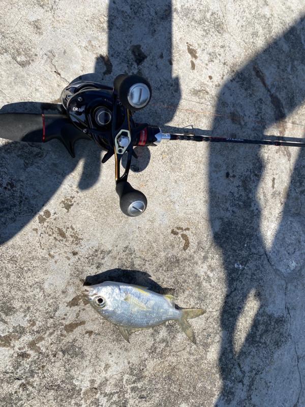 來一場說走就走的垂釣之旅，成功解鎖新魚種