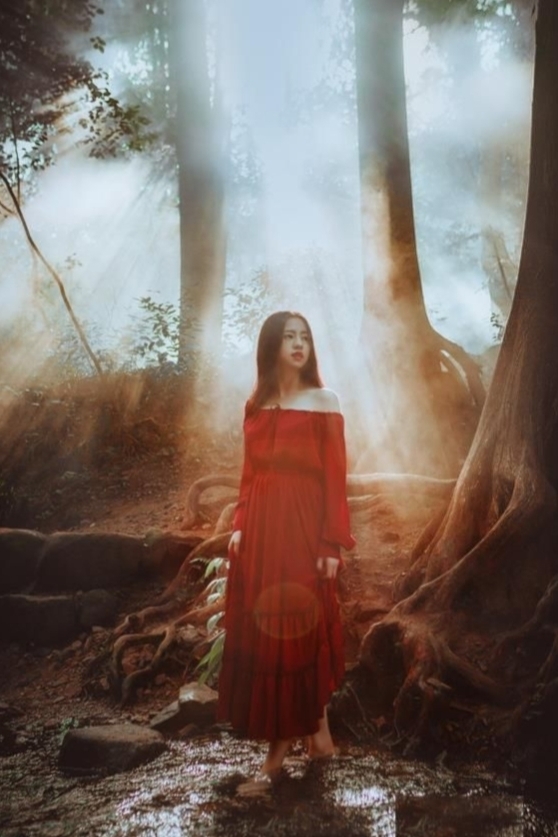 浪漫果和“女巫”的故事：走不出那片雨林