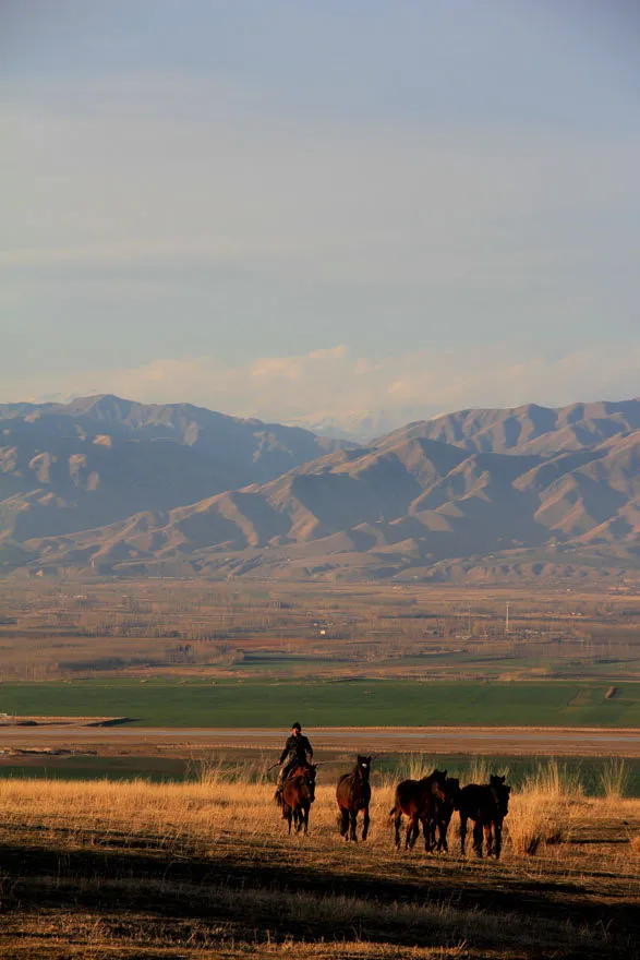 真正的新疆人給你獨庫公路「最全攻略」!純玩!不交智商稅 真正的新疆人給你獨庫公路「最全攻略」!純玩!不交智商稅
