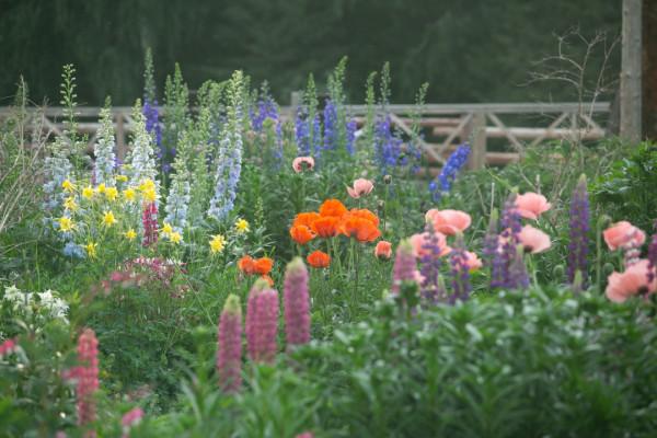 多少人的夢想!湖南姑娘用5年,在新疆禾木打造了個絕美花園 多少人的夢想!湖南姑娘用5年,在新疆禾木打造了個絕美花園