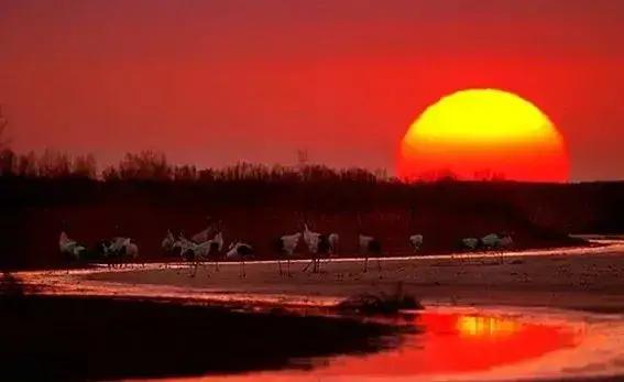 夕陽無限好，醉美夕陽