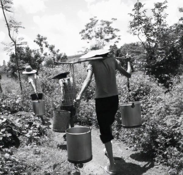 1979年，戰士越南戰場上參加5次戰役立下一等功，歸國後怎樣了？