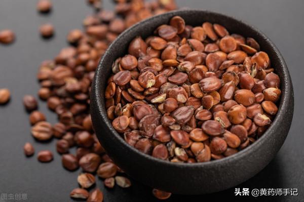 人參、黃芪、枸杞、西洋參…99種常用中藥功效大彙總，收藏備用