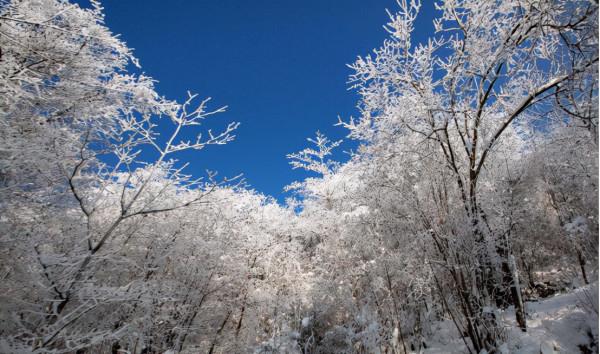 四川人家門口的滑雪場，元旦盡享冰雪世界，團圓跨年吃火鍋