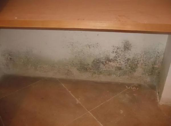 內外牆用這種材料工藝，牆壁永不漏水返潮