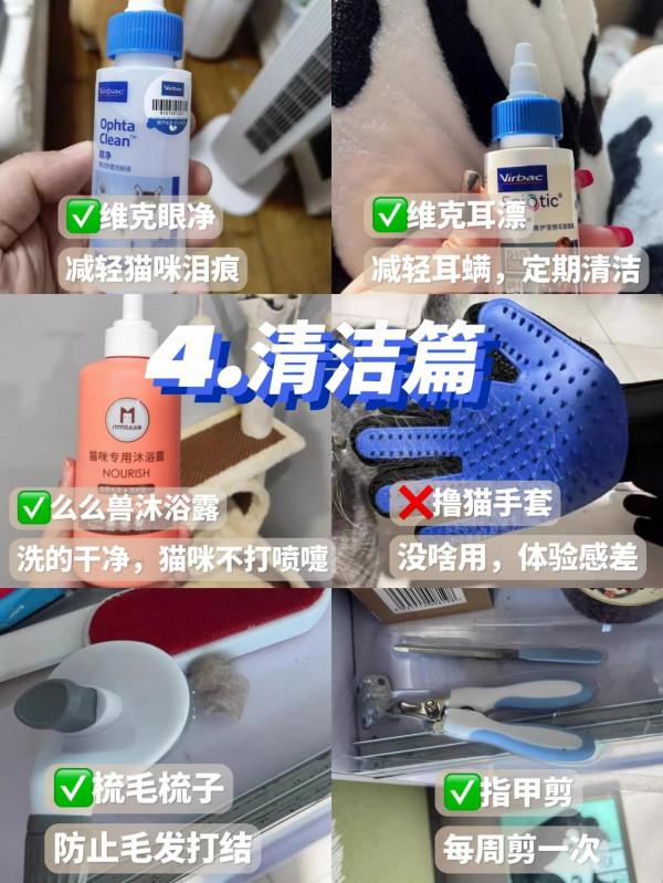 要想養貓不踩雷，這幾點要提前知道