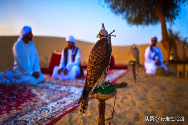 沙漠牧民的無奈:有家不住非要不斷遷徙,不認國籍不守法律 沙漠牧民的無奈:有家不住非要不斷遷徙,不認國籍不守法律
