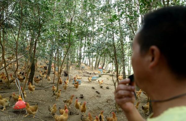 城市菜價漲,農村機會多?這8類人想返鄉創業缺資金,咋白手起家 城市菜價漲,農村機會多?這8類人想返鄉創業缺資金,咋白手起家