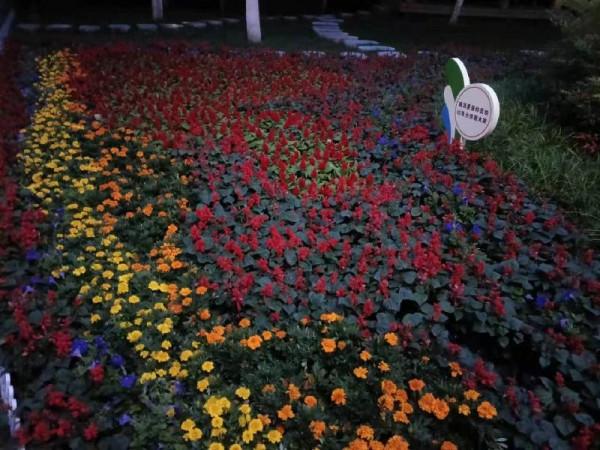 美文欣賞:張書成《賞月》 美文欣賞:張書成《賞月》