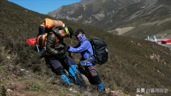 野外如何避免被蛇咬傷，揹包客都應該知道如何處理蛇咬傷的常識