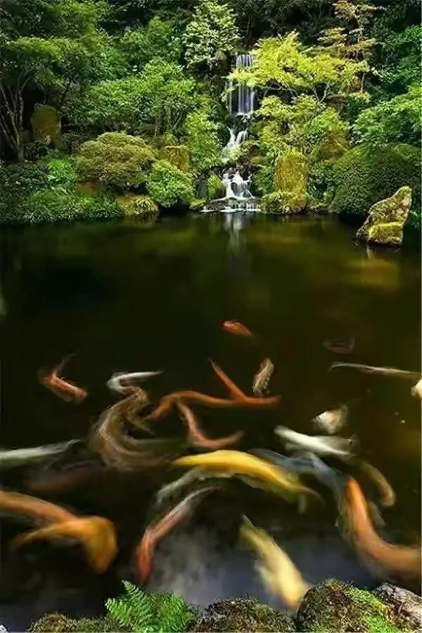 分享 世界之美 人間仙境 美呆啦