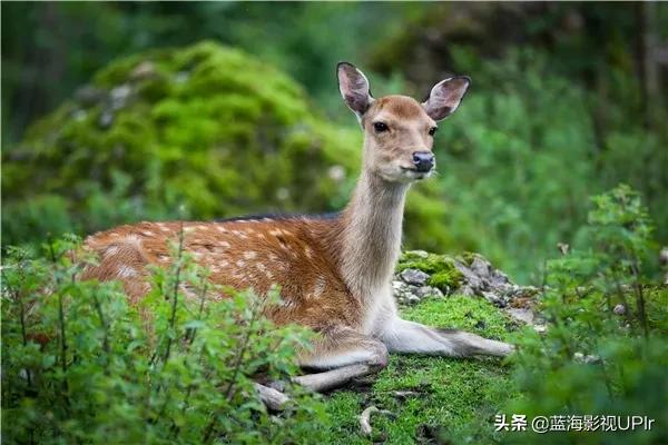 希望‖絕處逢生,永不放棄 希望‖絕處逢生,永不放棄
