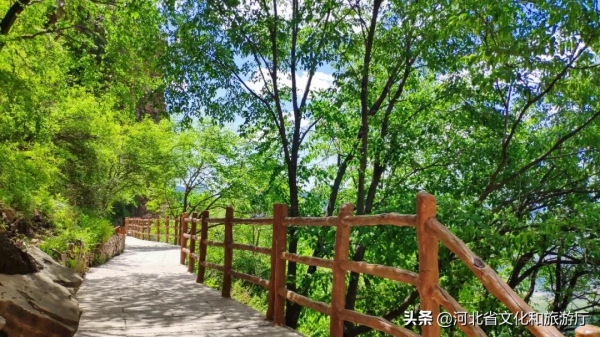 四季美景內卷天花板，必是東太行！