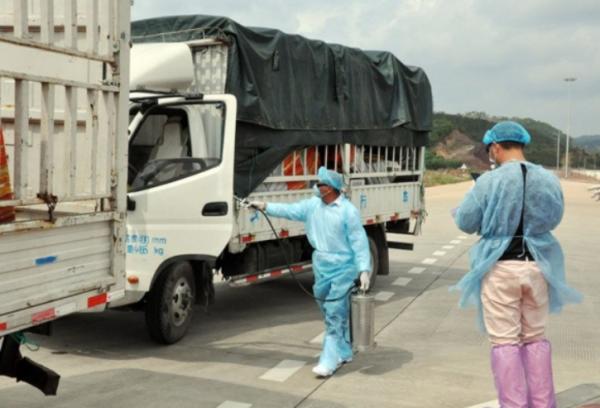 越南火龍果包裝上檢測出新冠病毒，中國暫停進口越南火龍果