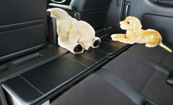 海獅還可以這樣改裝？專為愛狗人士設計，小狗坐車更舒服