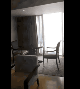 25張活久未見的照片,大白鯊被魚卡住喉嚨,馬吃小雞被雞媽媽發現 25張活久未見的照片,大白鯊被魚卡住喉嚨,馬吃小雞被雞媽媽發現