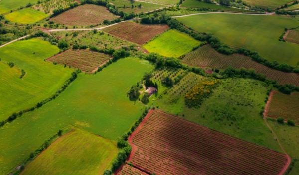 人鄰 : 山居人家 |《詩刊》頭條詩人