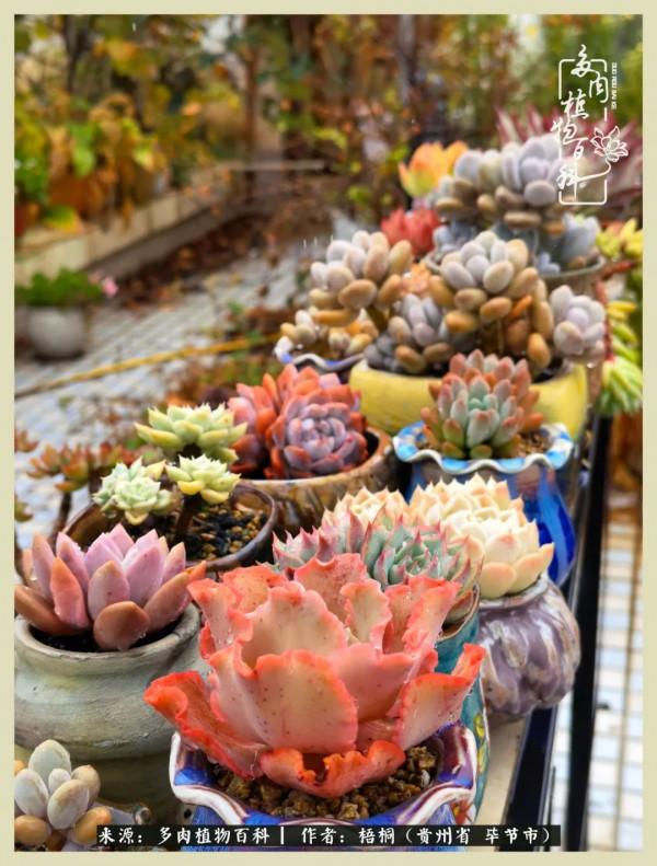 世間瞬息萬變，我們的友誼不變，閨蜜相聚，賞肉言歡