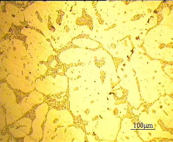 電流突變下磁場和半固態A356鋁合金組織的變化