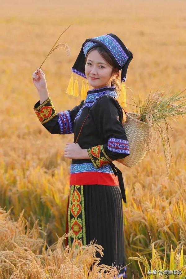 美人吟續詩之三十七：惜花