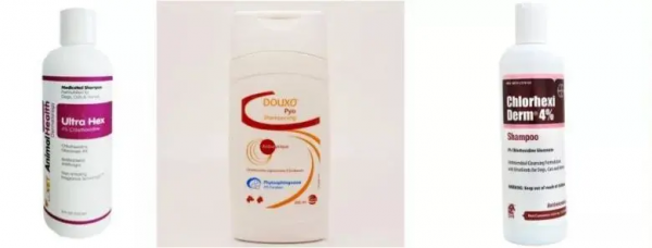 隨“浴”而安——藥浴香波，你選對了嗎？