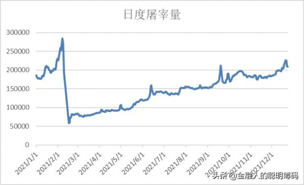 調研報告 | 年年歲歲豬相似，歲歲年年境不同
