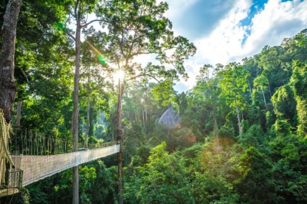 你好，2022！自駕這些雲南最美公路，收穫滿滿好運來！