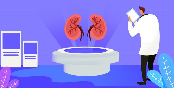 4箇中成藥，降尿蛋白、排出體內毒素、保護腎小球，用於慢性腎衰