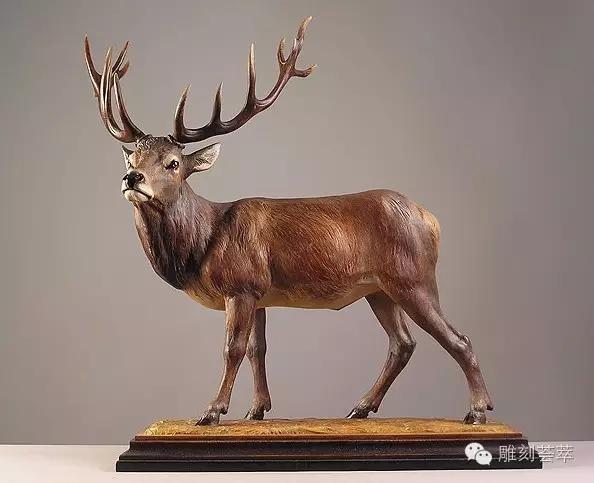 動物世界~木雕 動物世界~木雕