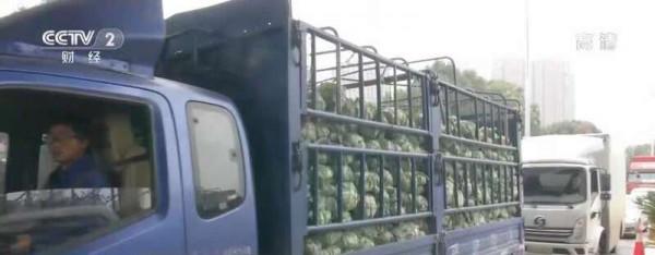 湖北：降低菜價 運輸蔬菜來武漢免收車輛通行費