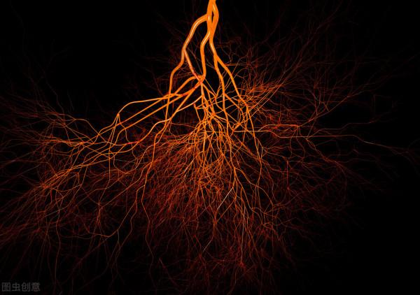 天氣轉涼,保護好我們的“第二心臟”!面板乾裂、手腳冰涼,血壓升高都與之相關 天氣轉涼,保護好我們的“第二心臟”!面板乾裂、手腳冰涼,血壓升高都與之相關