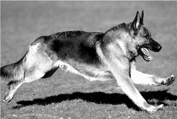 「知青往事」一位知青前輩講述的故事 「知青往事」一位知青前輩講述的故事