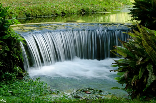紐約時報評選最美花園榮歸義大利 被譽為伊甸園的寧法花園 紐約時報評選最美花園榮歸義大利 被譽為伊甸園的寧法花園