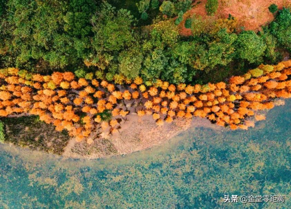 金堂“光霧山”!私藏在這處公園裡的冬日幻境 金堂“光霧山”!私藏在這處公園裡的冬日幻境