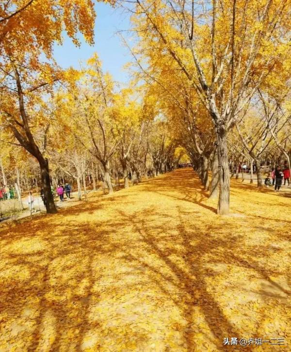 深秋來江蘇，這些地方不要錯過，景美不擁擠