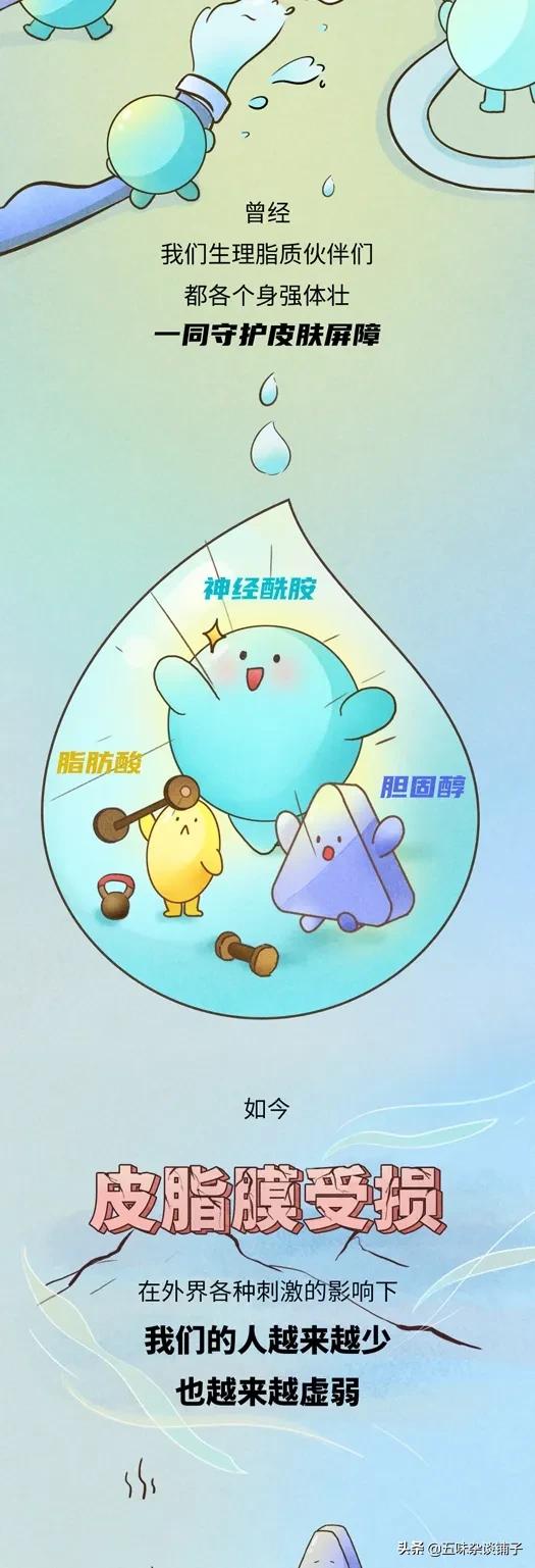 這道“屏障”最好別破壞,爛臉原因找到了!漫畫帶你瞭解面板屏障 這道“屏障”最好別破壞,爛臉原因找到了!漫畫帶你瞭解面板屏障