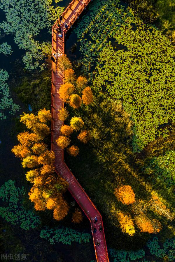 紅色才是中國秋天的主打色！這17處楓葉觀賞地，總有一個能驚豔你
