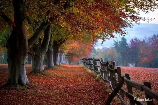 英國的秋季美不勝收