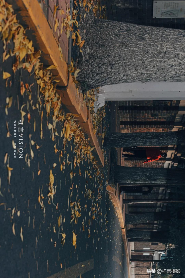 深秋在哪裡 深秋在哪裡