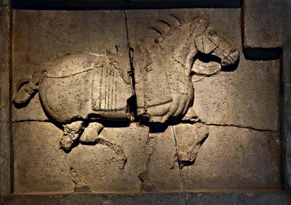 老人在田裡發現“金馬”,專家:漢武帝的御用坐騎,國家一級文物 老人在田裡發現“金馬”,專家:漢武帝的御用坐騎,國家一級文物