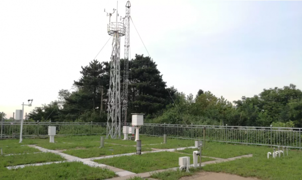 知耕快報｜世界最小農業AI機器人問世；藻類基因注入重塑視覺神經