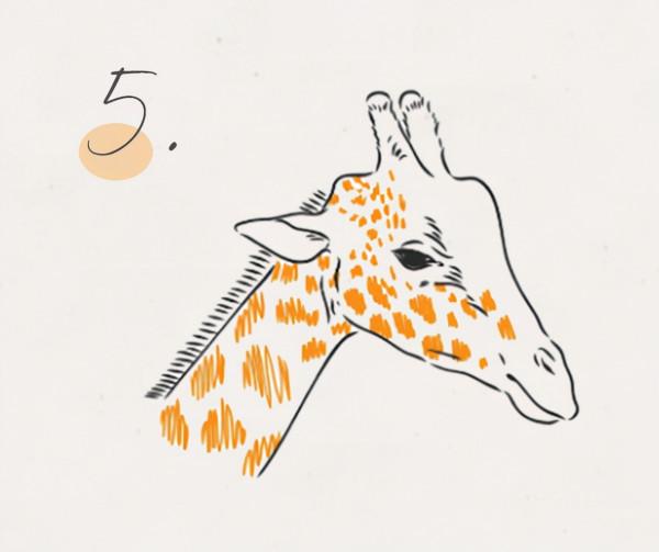 看圖測試：選一隻長頸鹿，看看老闆私下是怎麼評斷你這個人