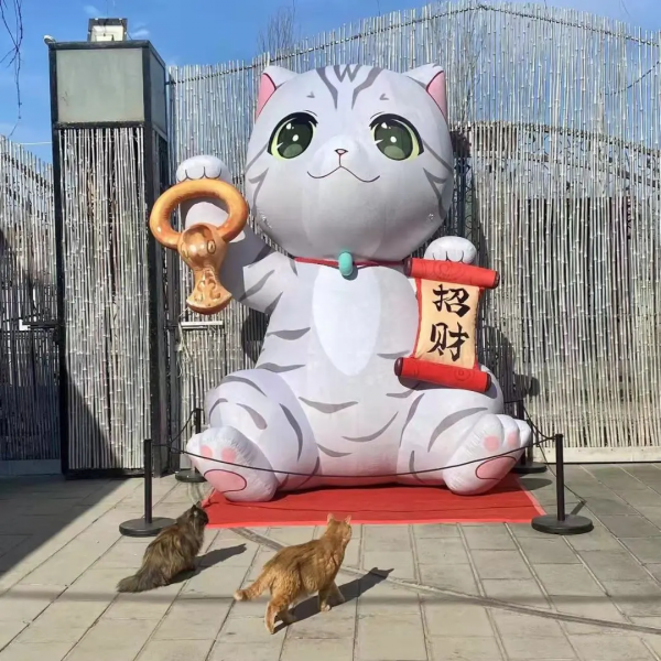 小貓咪都是怎樣&OpenCurlyDoubleQuote;爭寵&rdquo;的？