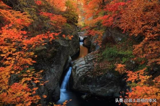 中國最美的10個紅葉景區,每一個都美到極致,你去過幾個? 中國最美的10個紅葉景區,每一個都美到極致,你去過幾個?