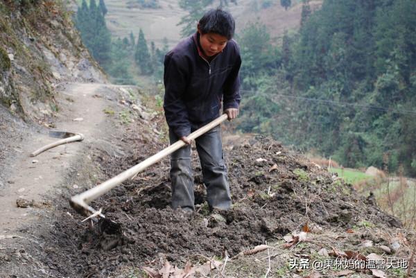 命運不公，努力的福華一輩子沒有享福，家庭的負累讓他抱憾終身