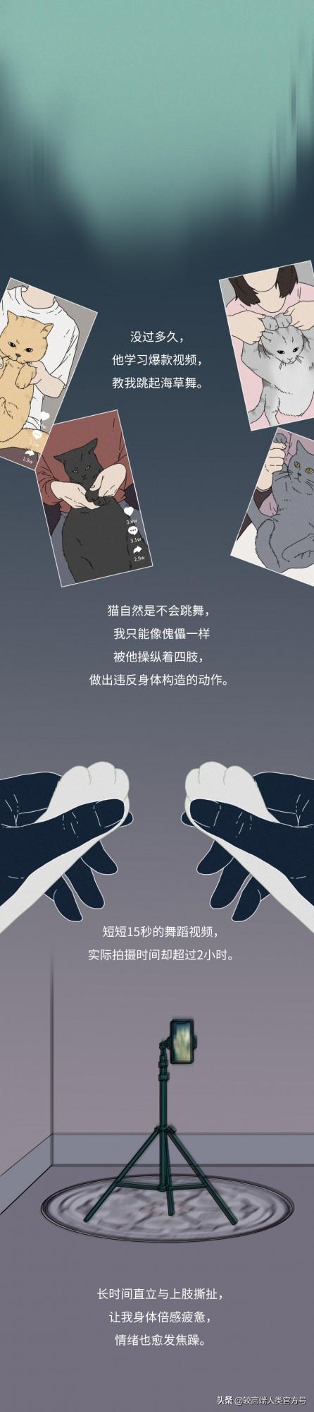 要遭受多少虐待,才能成為一隻網紅貓? 要遭受多少虐待,才能成為一隻網紅貓?