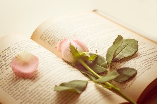 懂得這樣為人處世的人，才是能辦大事的，日後會更容易成功